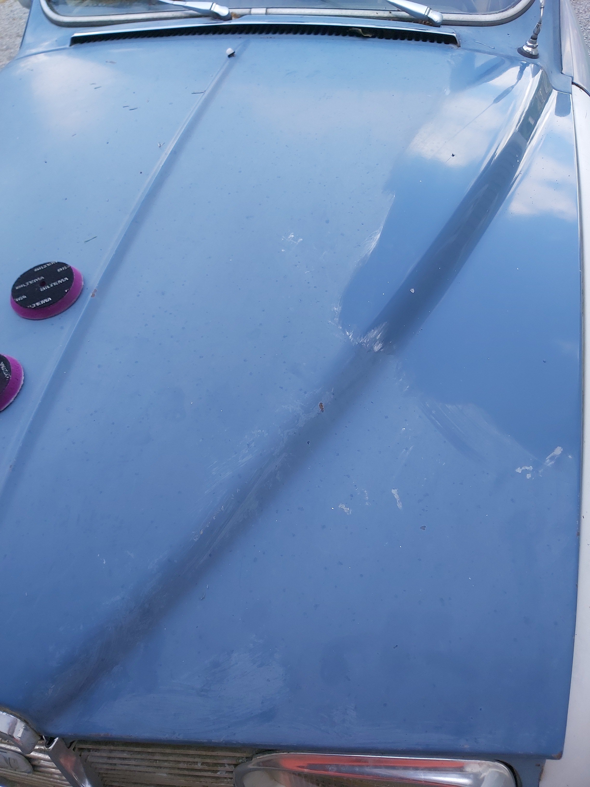 IMG_20240629_160329 IMG_20240629_160329