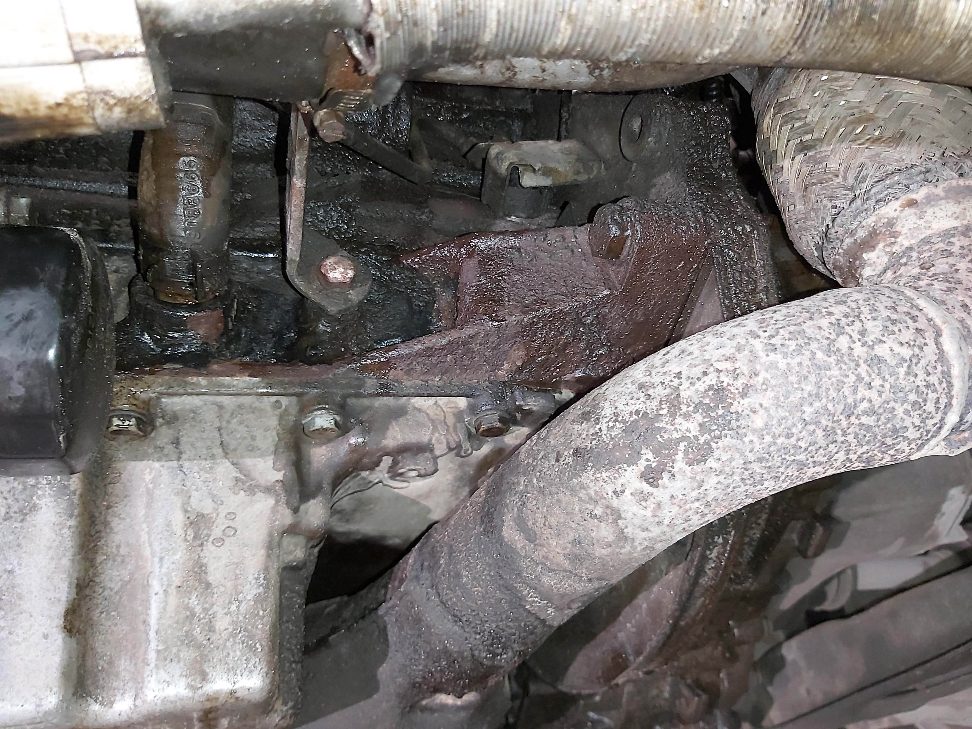 IMG_20240813_205805 IMG_20240813_205805