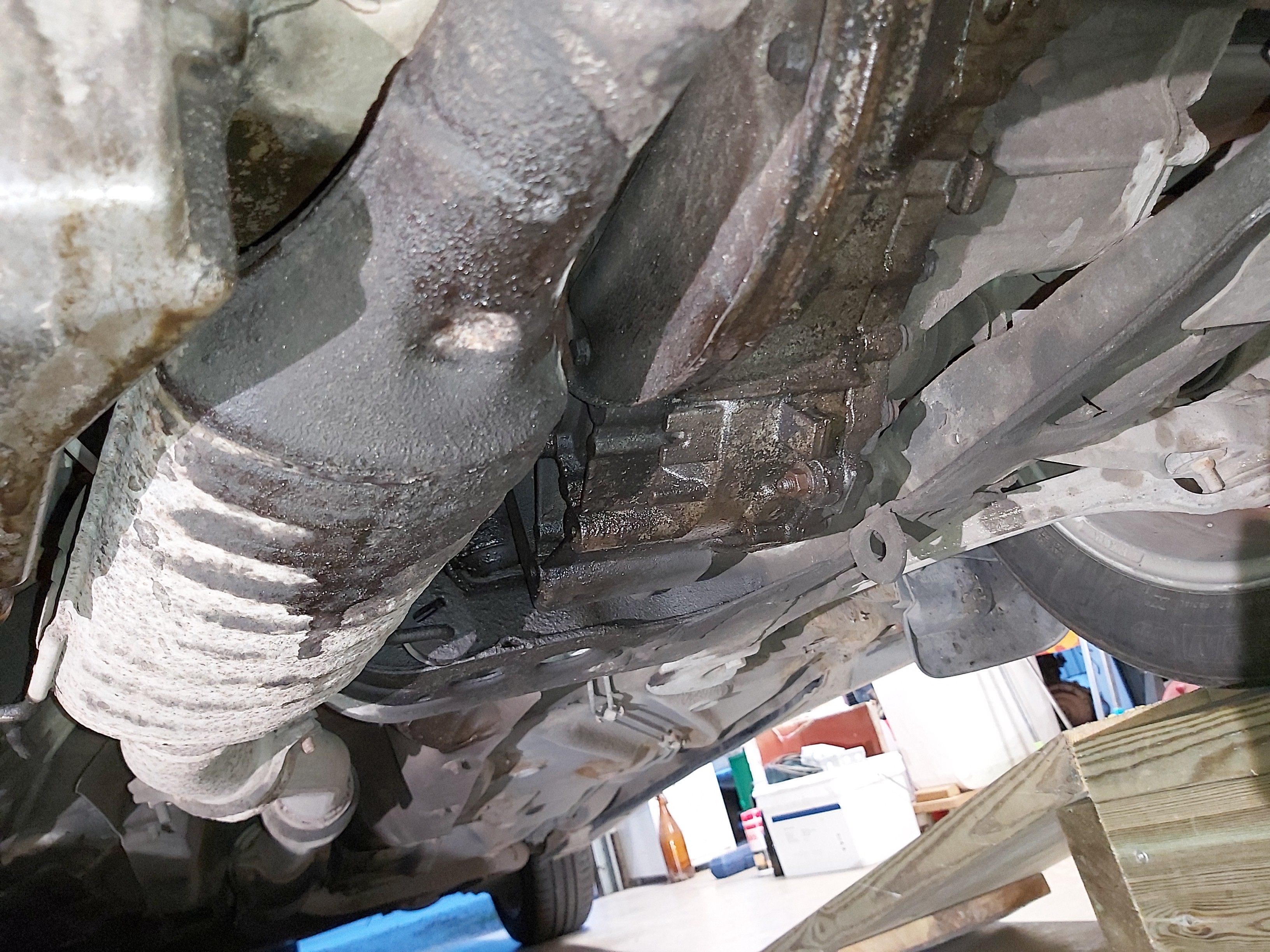 IMG_20240813_205809 IMG_20240813_205809