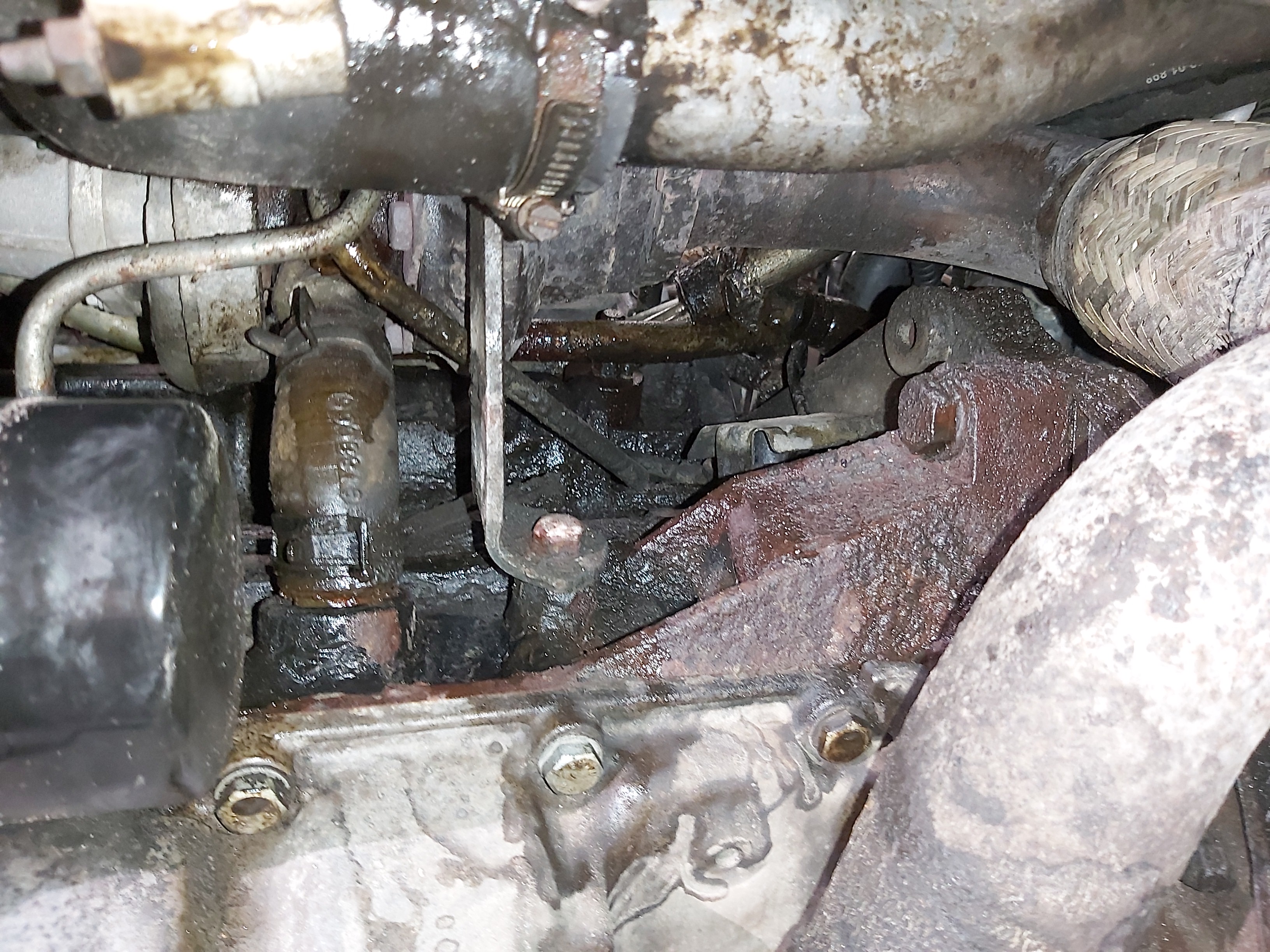 IMG_20240813_205817 IMG_20240813_205817