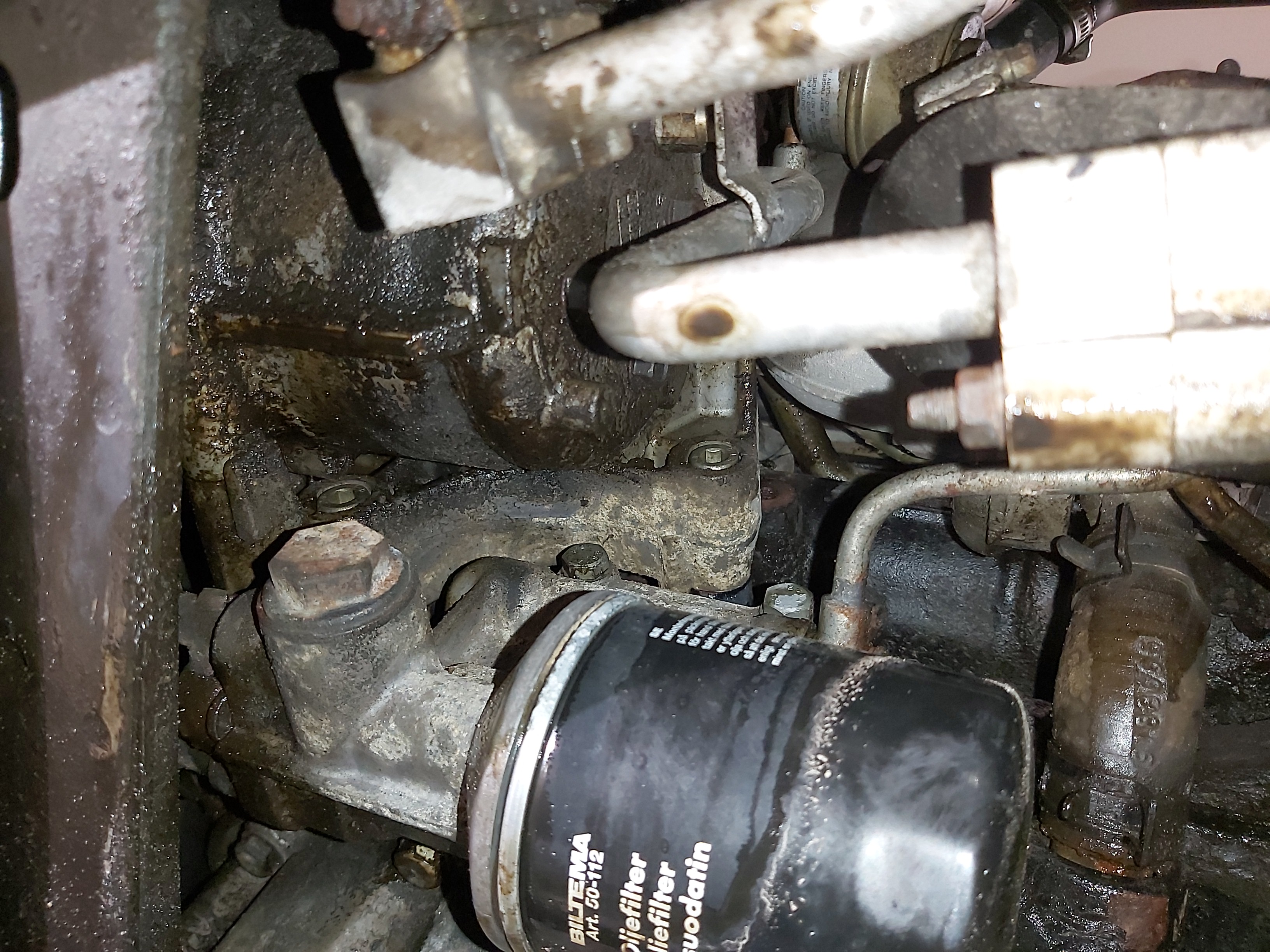 IMG_20240813_205825 IMG_20240813_205825