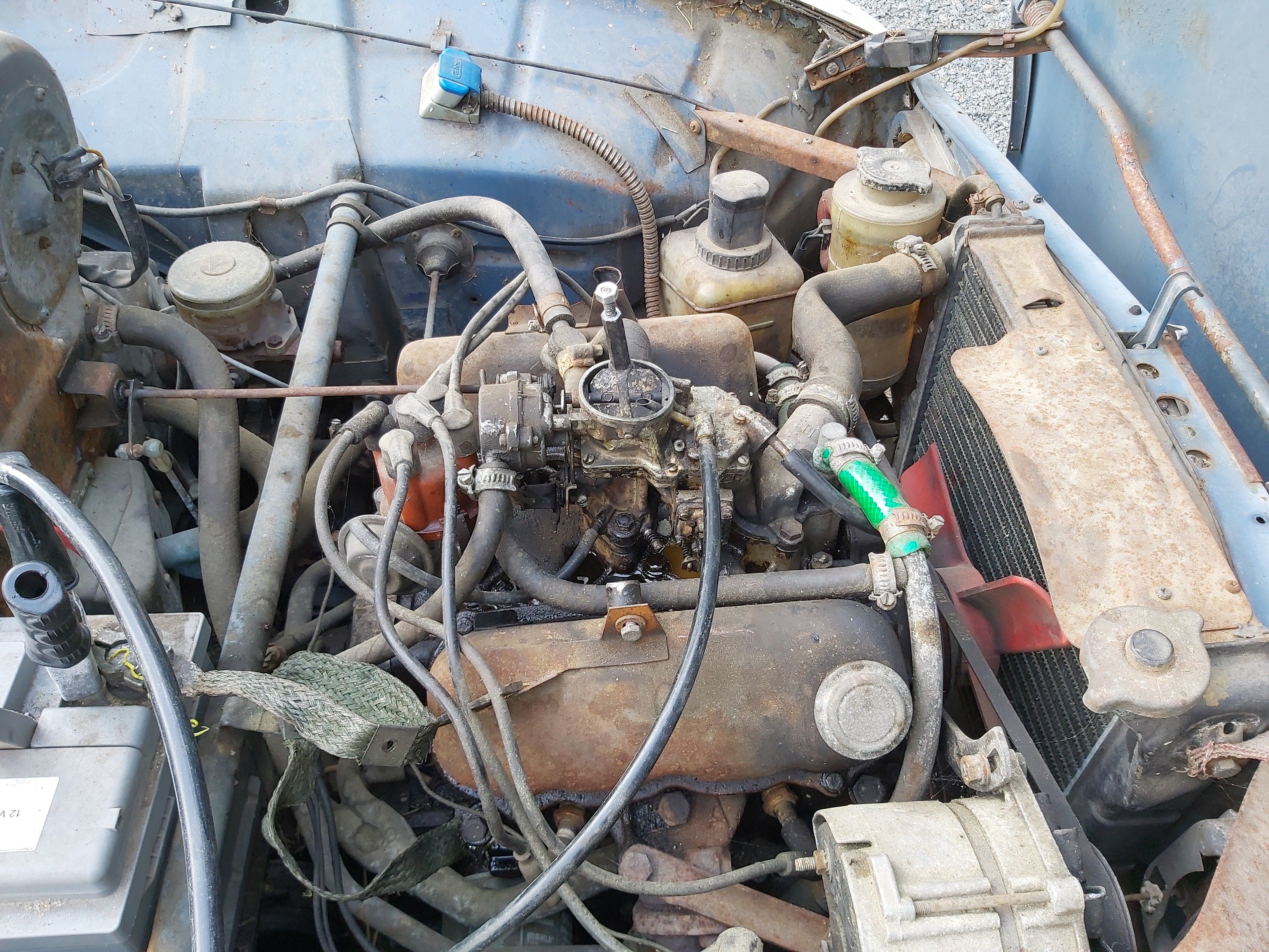 IMG_20240817_105806-01 IMG_20240817_105806-01