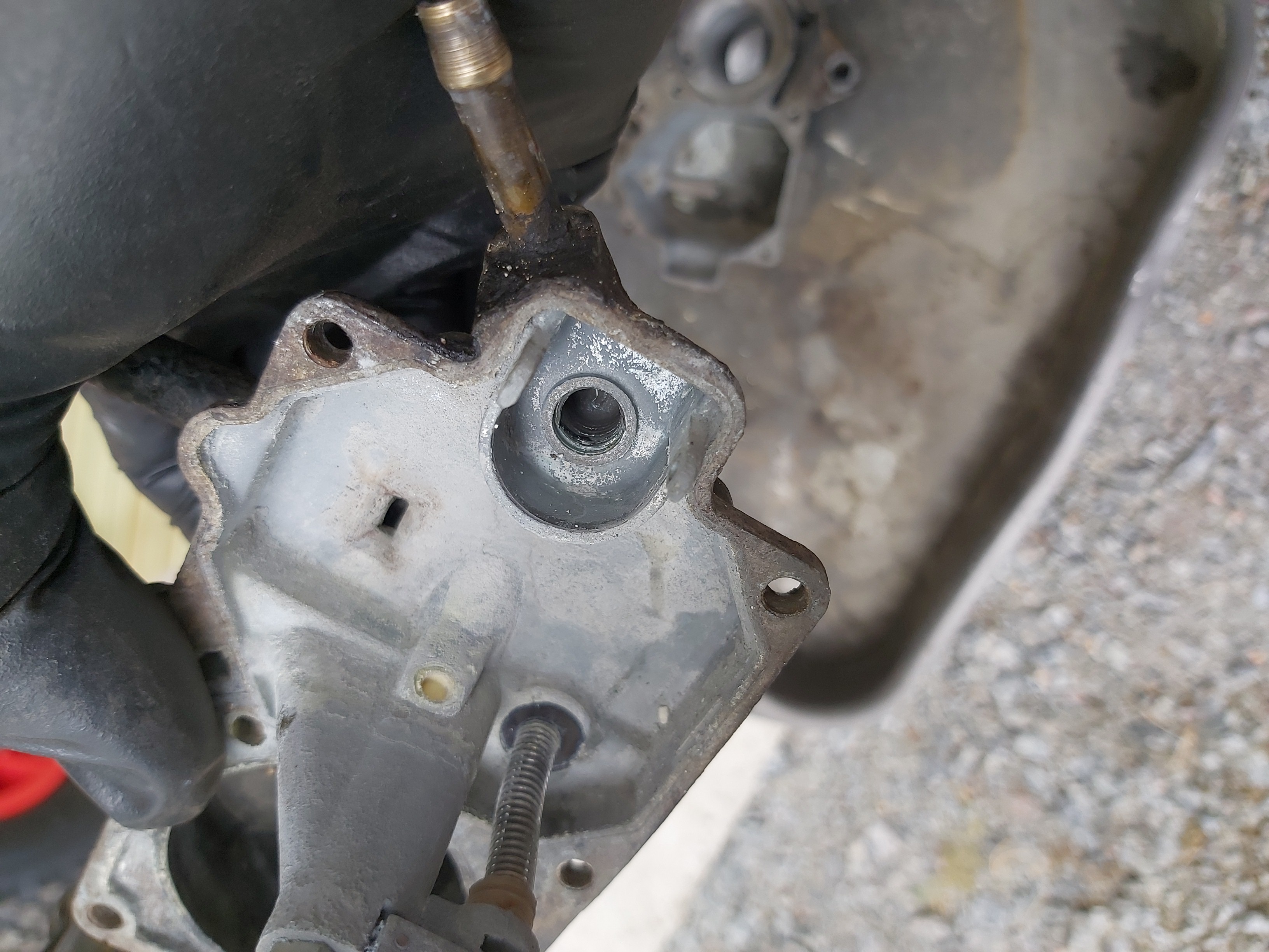 IMG_20240831_135049 IMG_20240831_135049