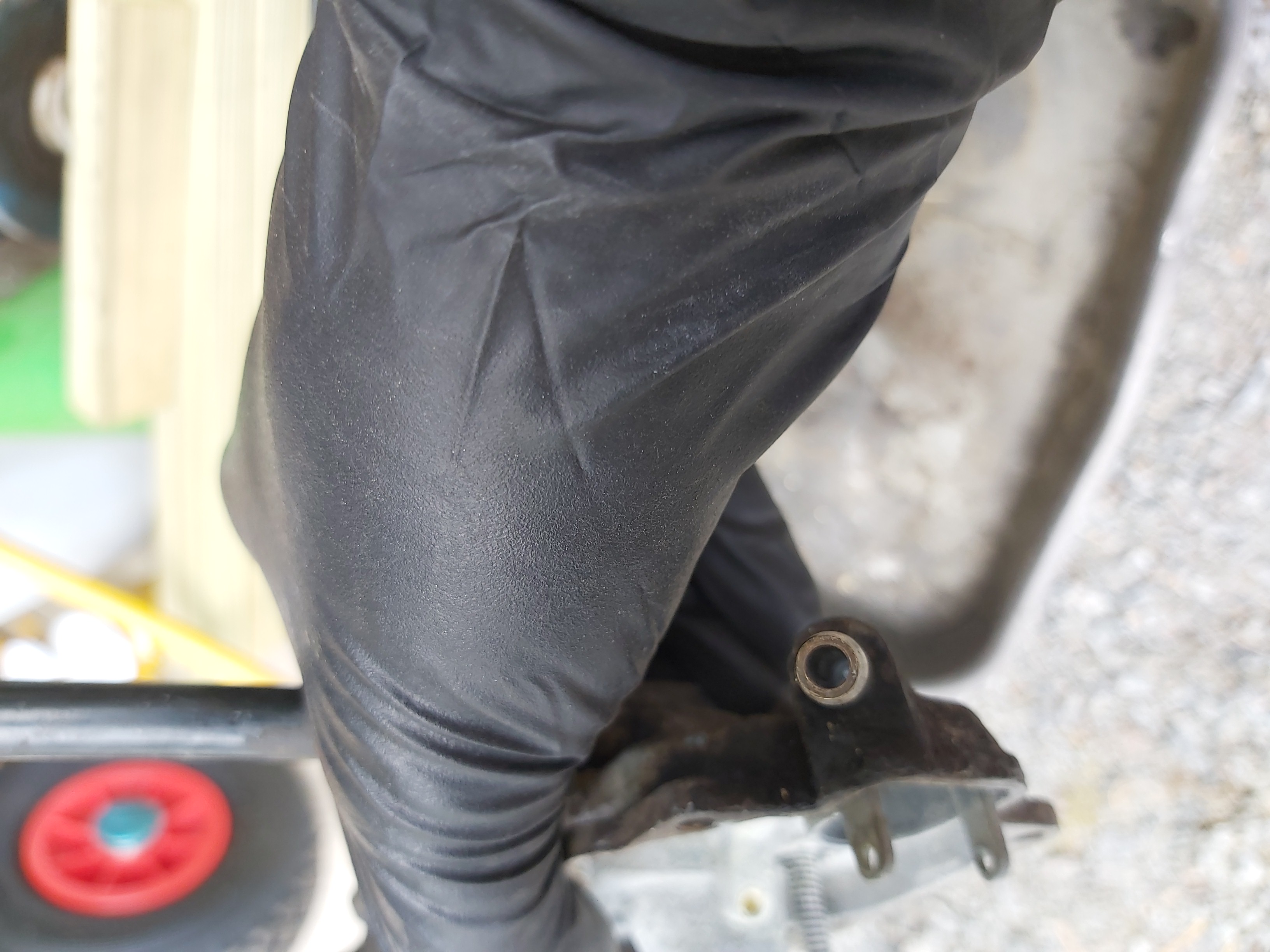 IMG_20240831_135056 IMG_20240831_135056