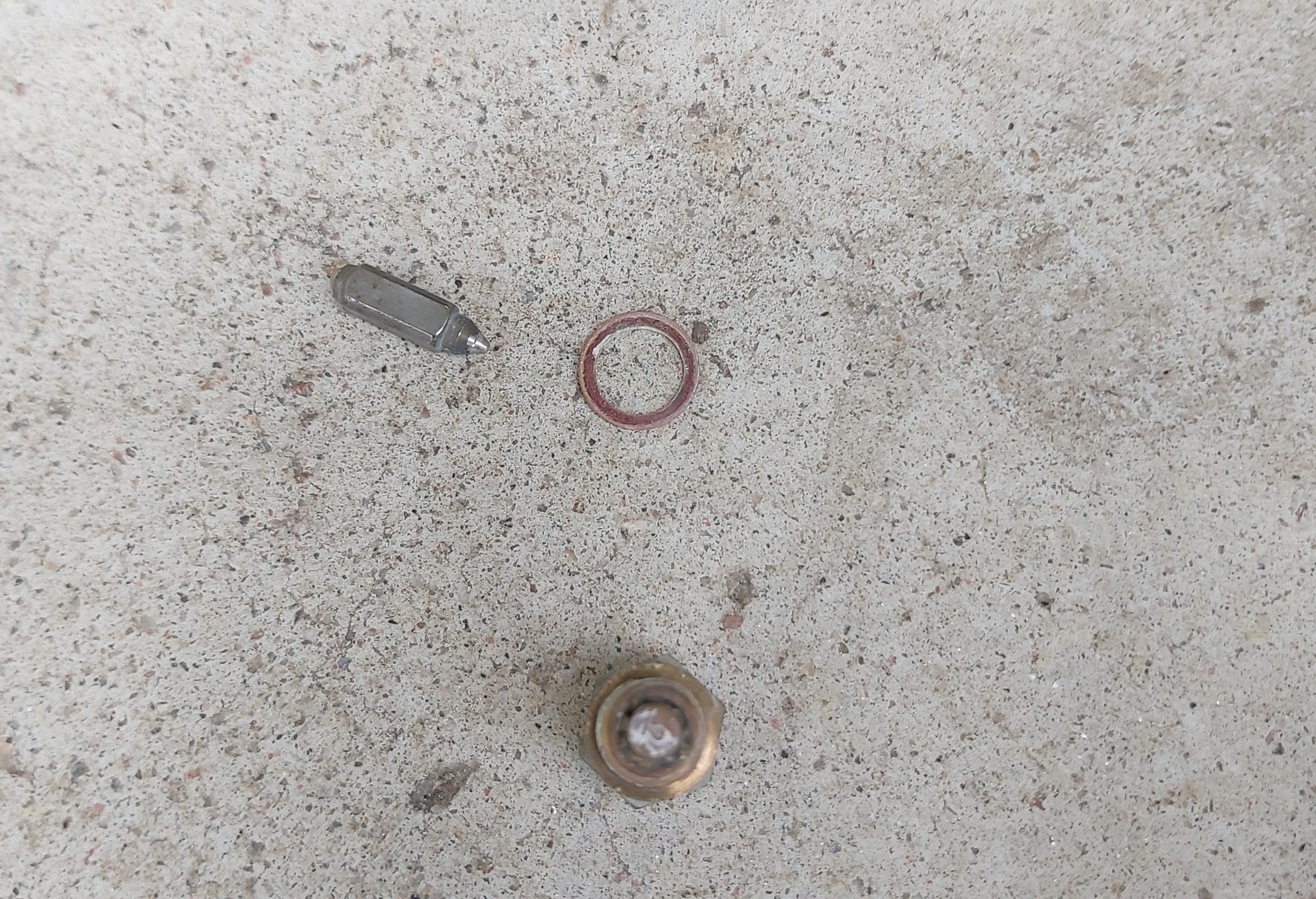 IMG_20240831_135109 IMG_20240831_135109