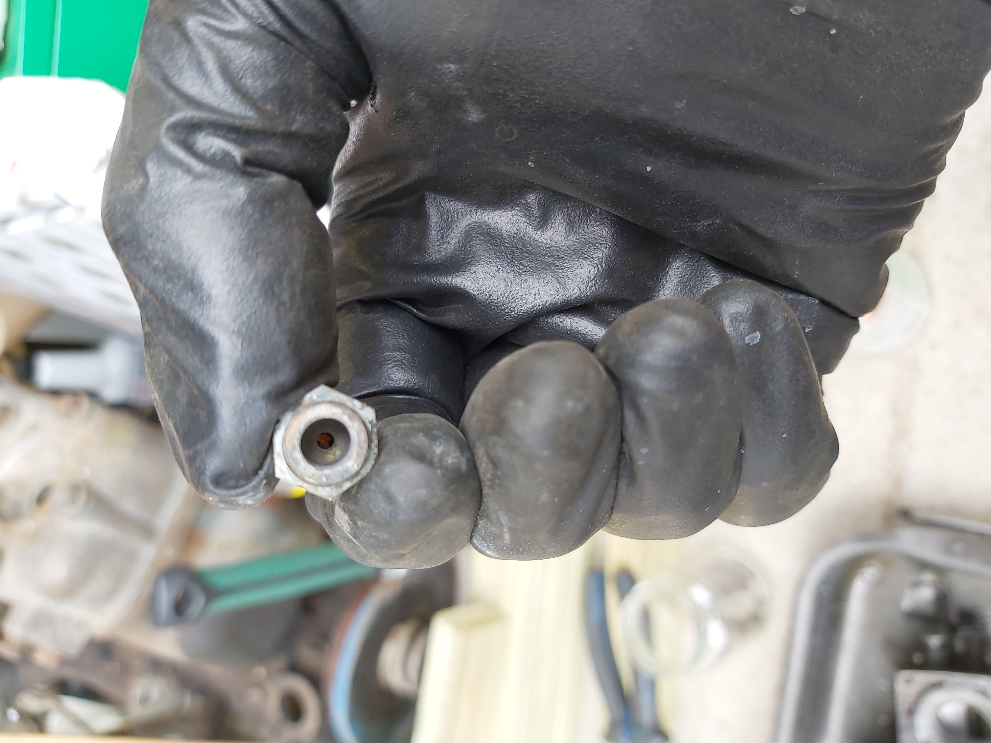 IMG_20240831_135129 IMG_20240831_135129