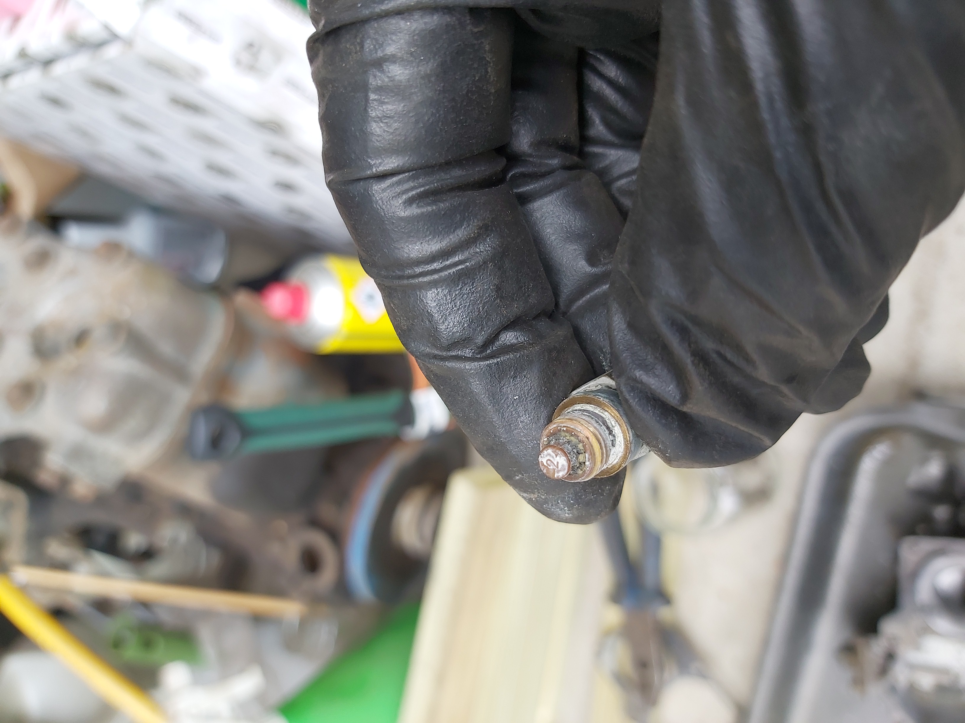 IMG_20240831_135133 IMG_20240831_135133