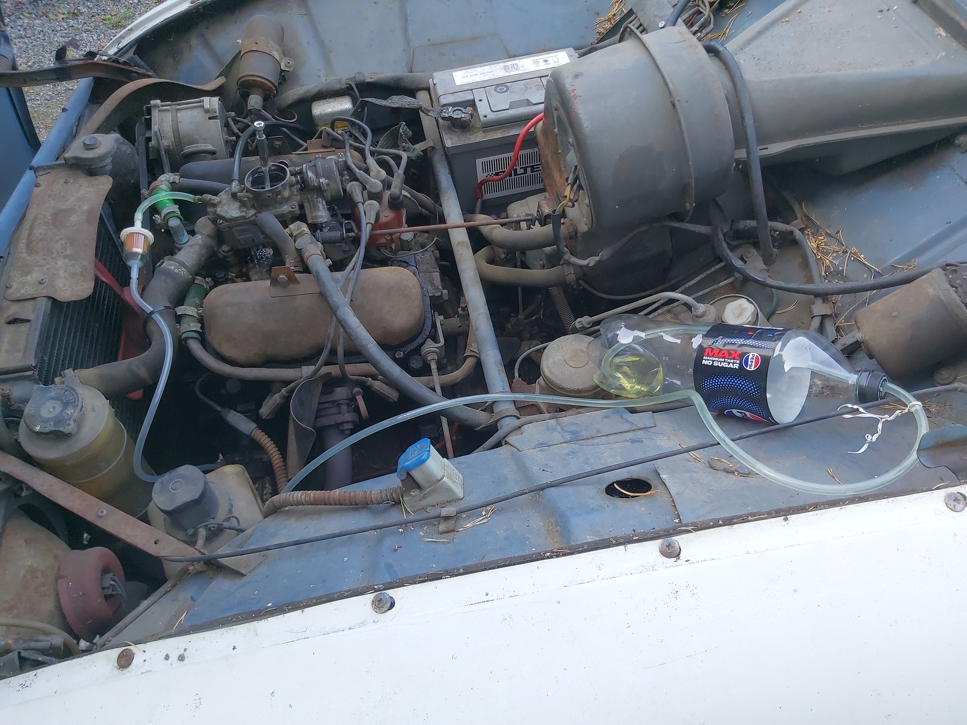 IMG_20240907_151925 IMG_20240907_151925