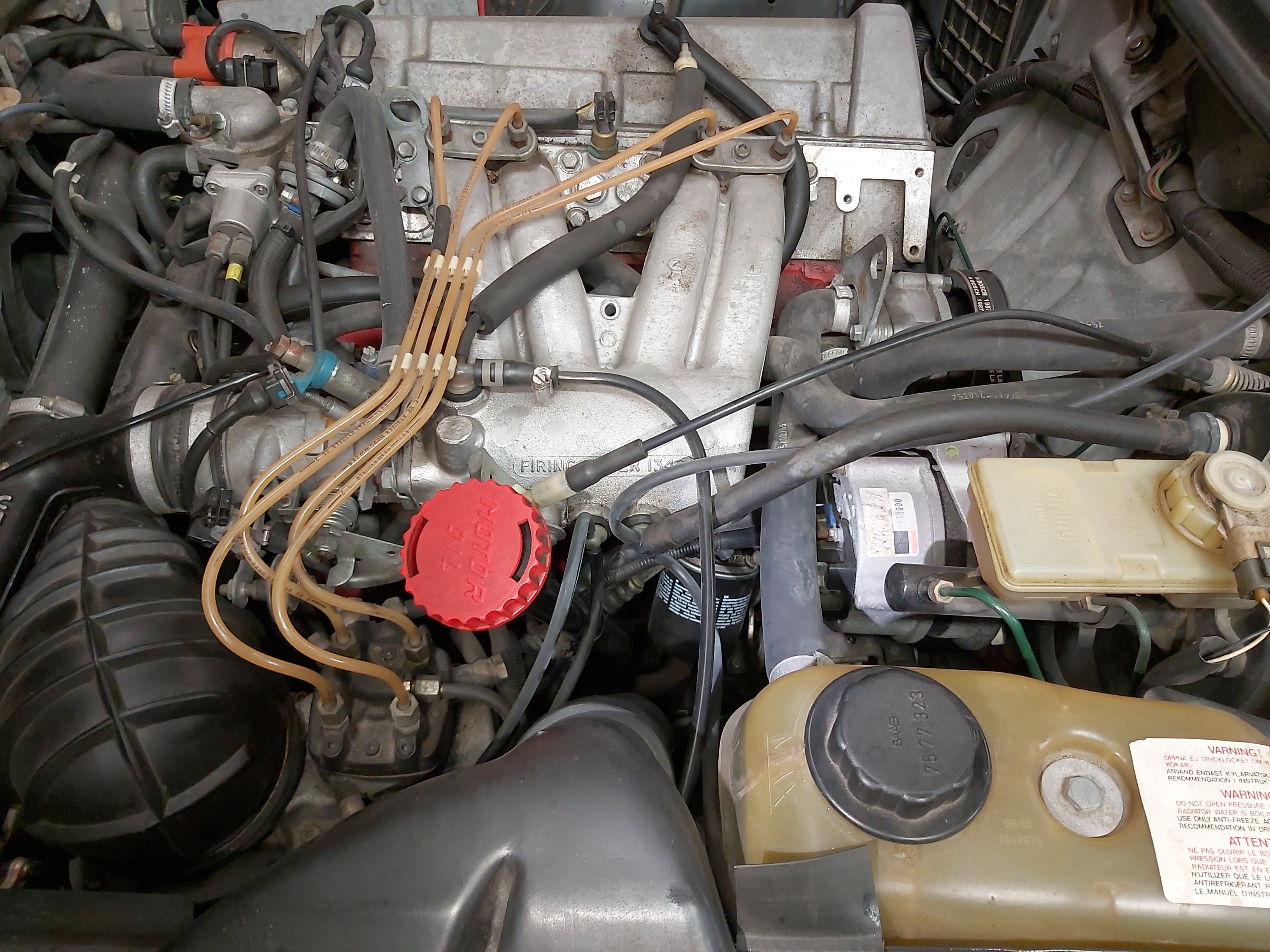 IMG_20250226_191445 IMG_20250226_191445