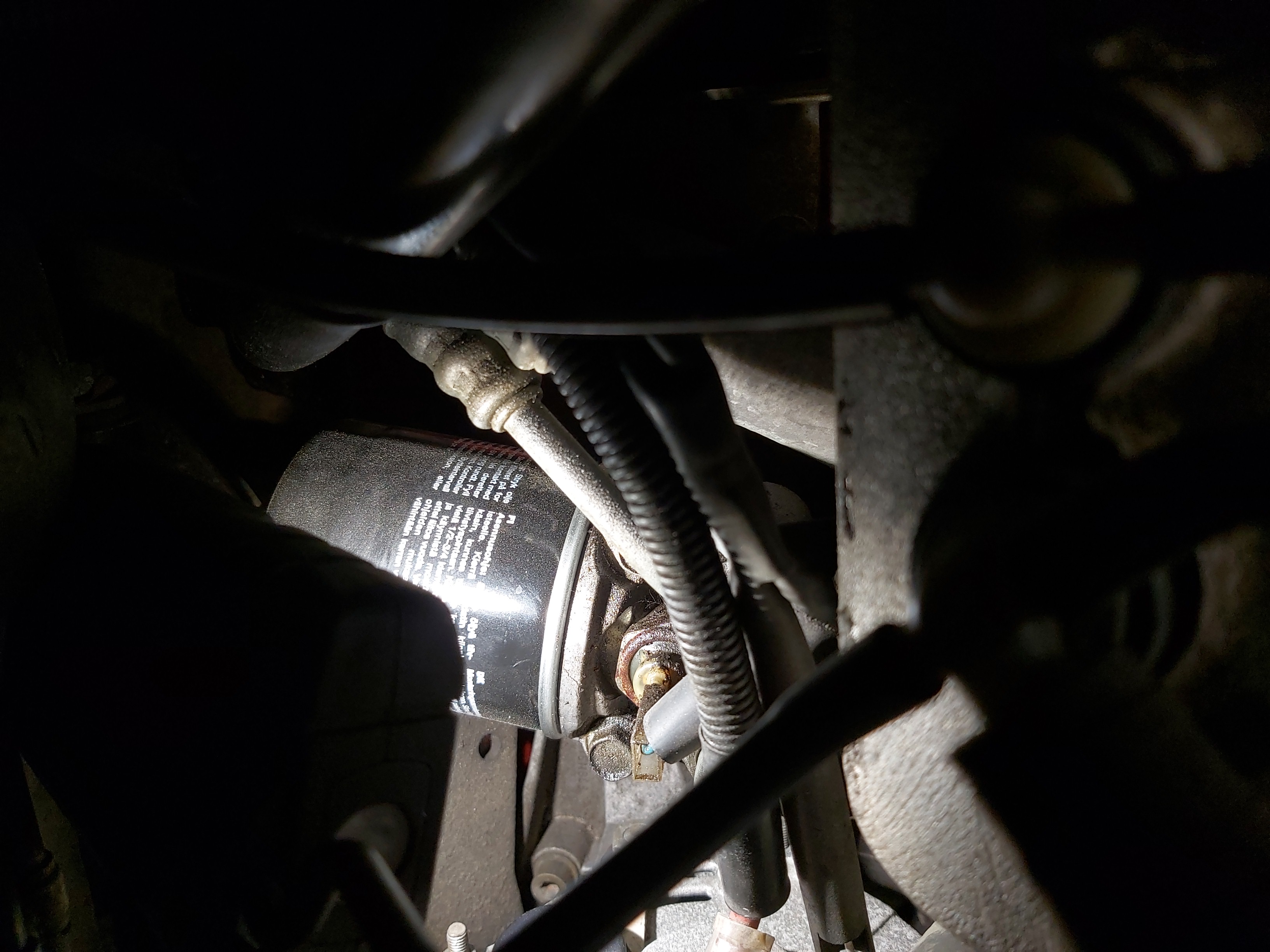 IMG_20250226_191851 IMG_20250226_191851