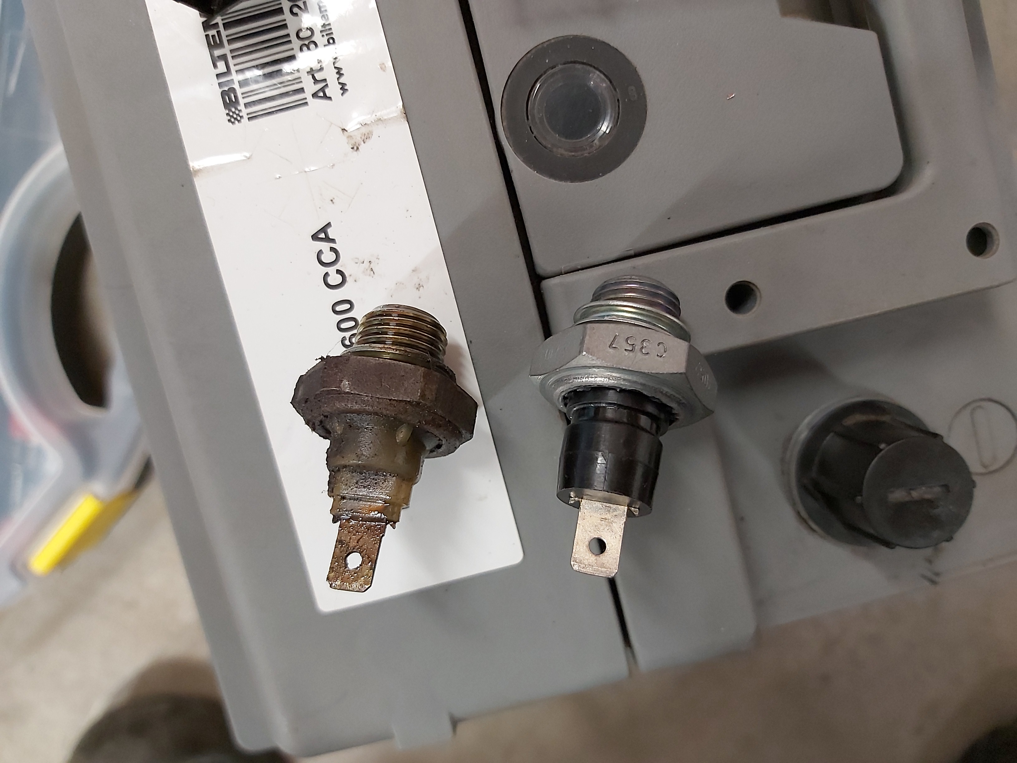 IMG_20250226_192442 IMG_20250226_192442