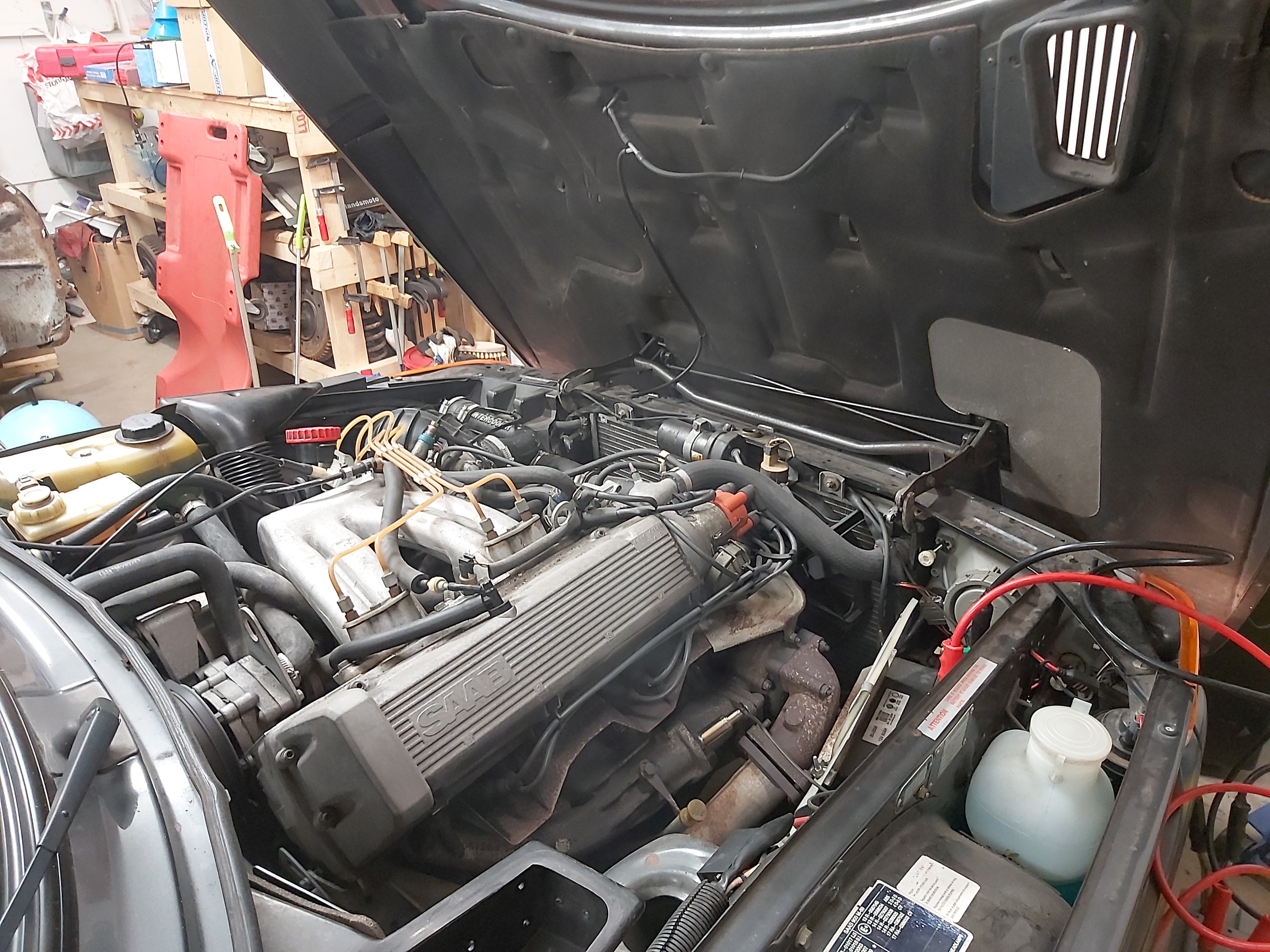 IMG_20250226_205043 IMG_20250226_205043