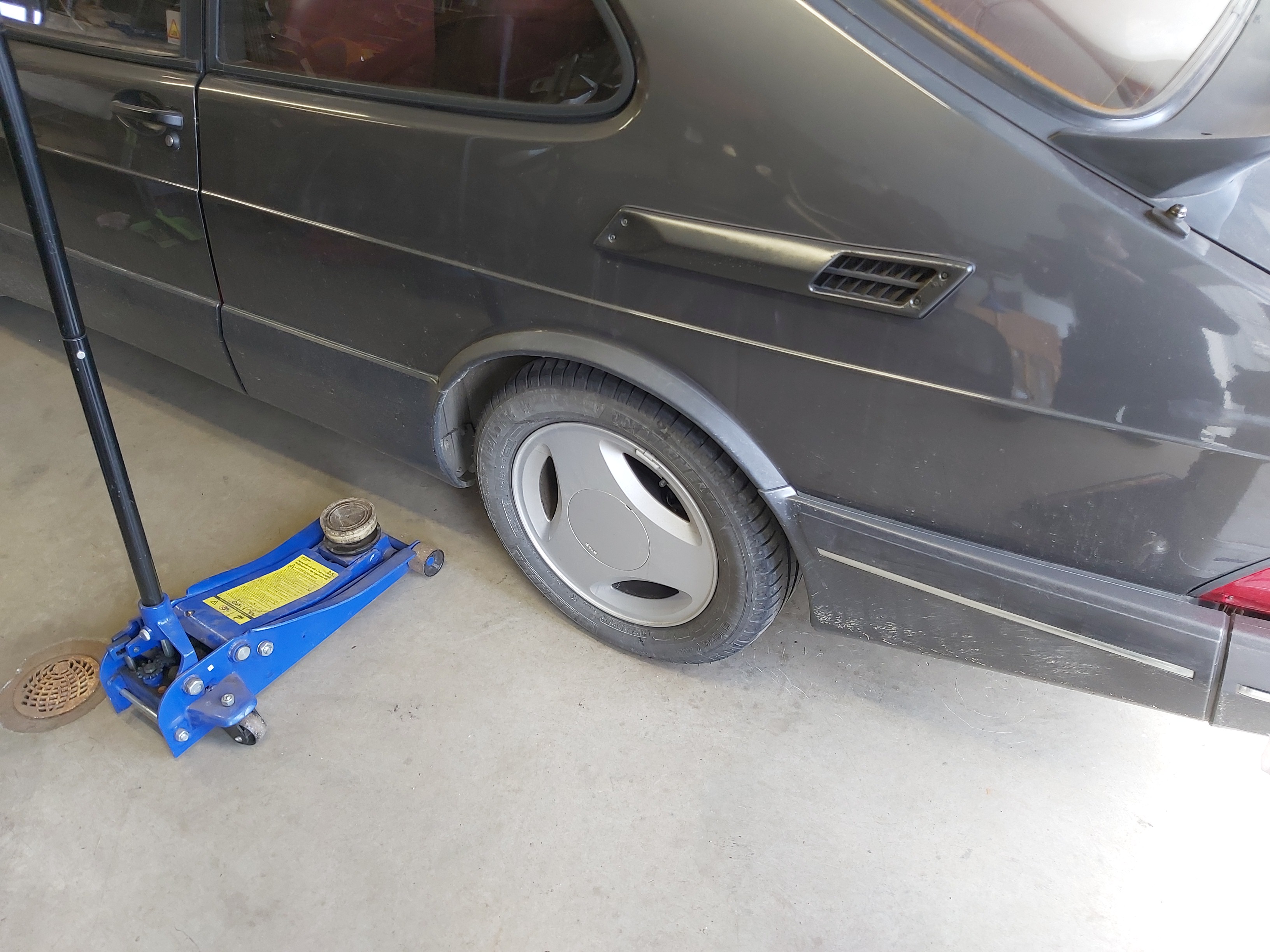 IMG_20240428_103234 IMG_20240428_103234