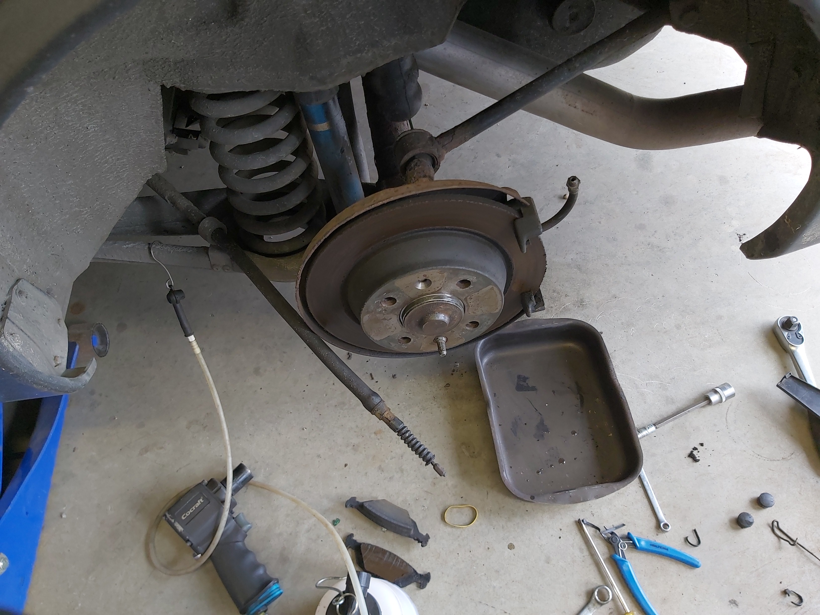 IMG_20240428_105701 IMG_20240428_105701