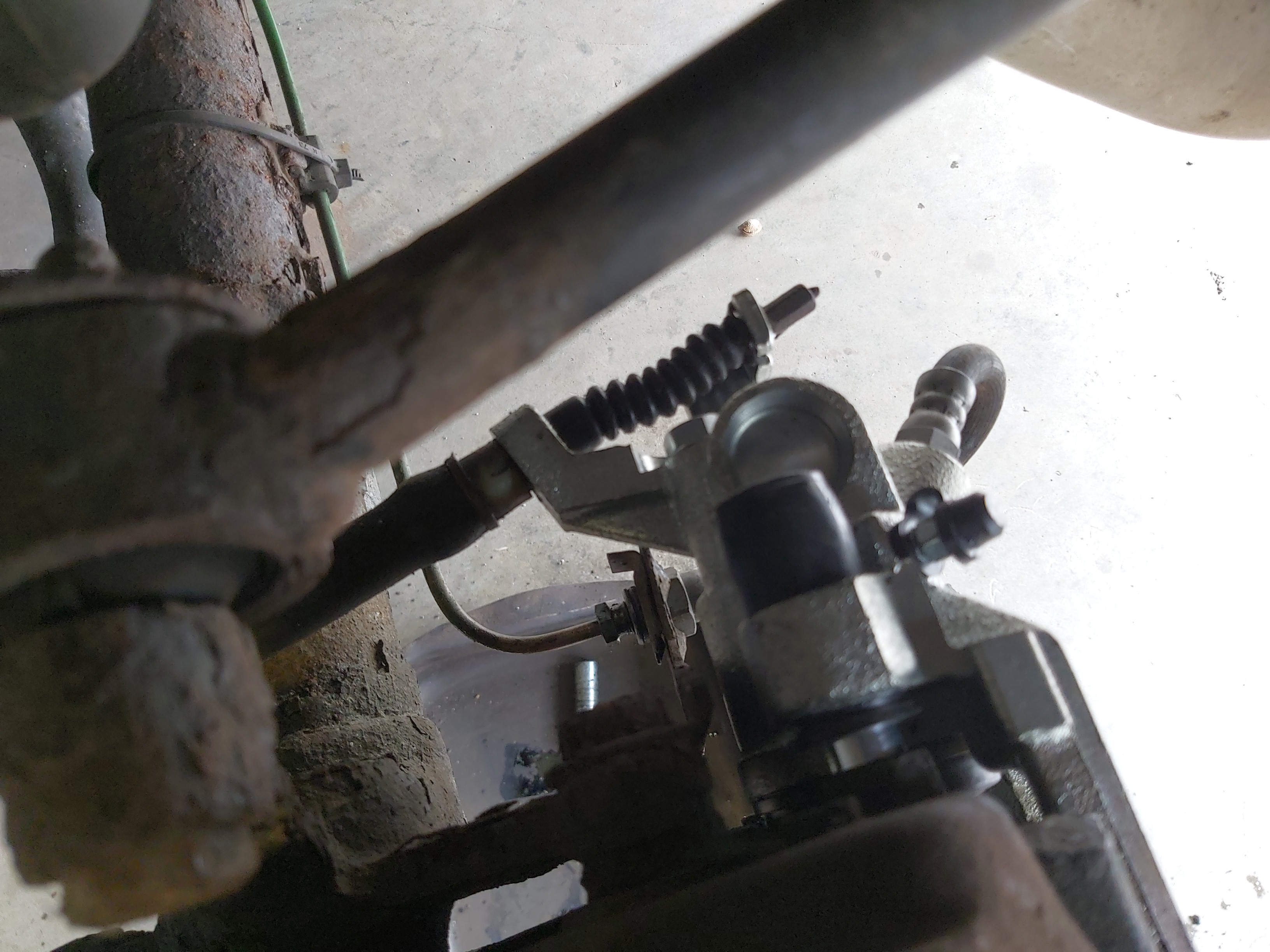 IMG_20240428_111913 IMG_20240428_111913