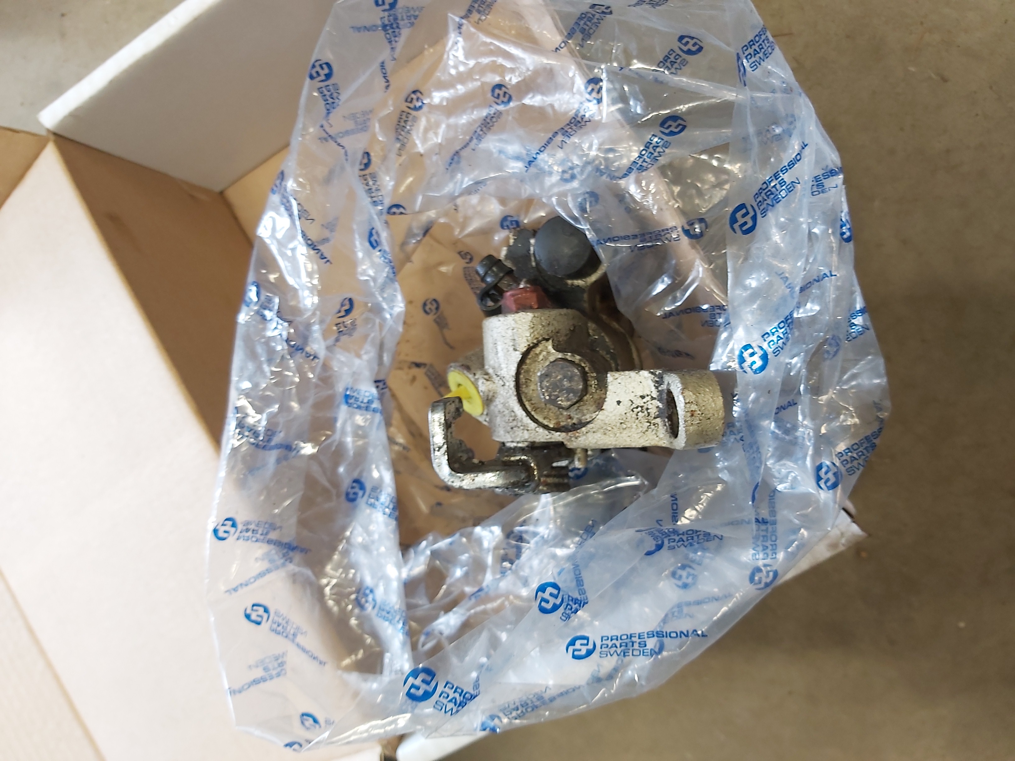 IMG_20240428_114321 IMG_20240428_114321