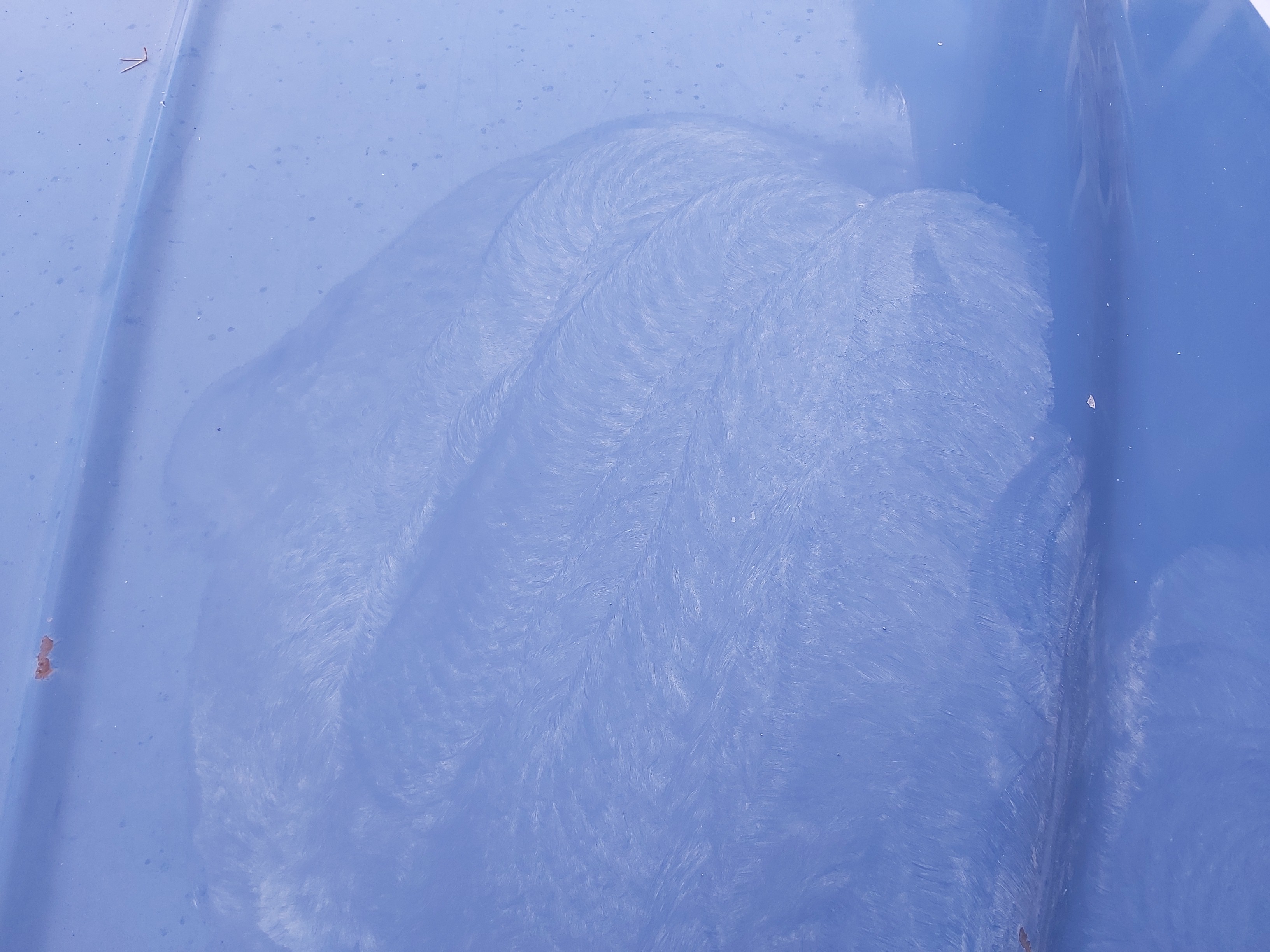 IMG_20240629_160920 IMG_20240629_160920